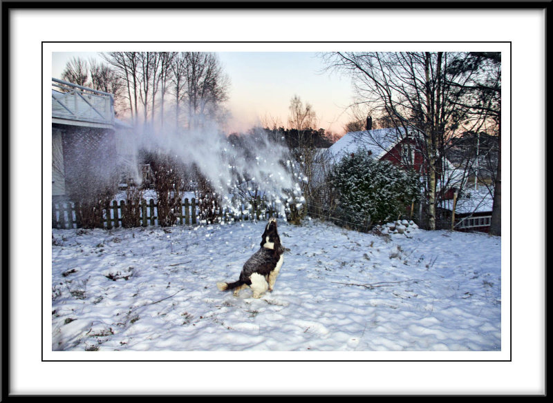 Catching snow...