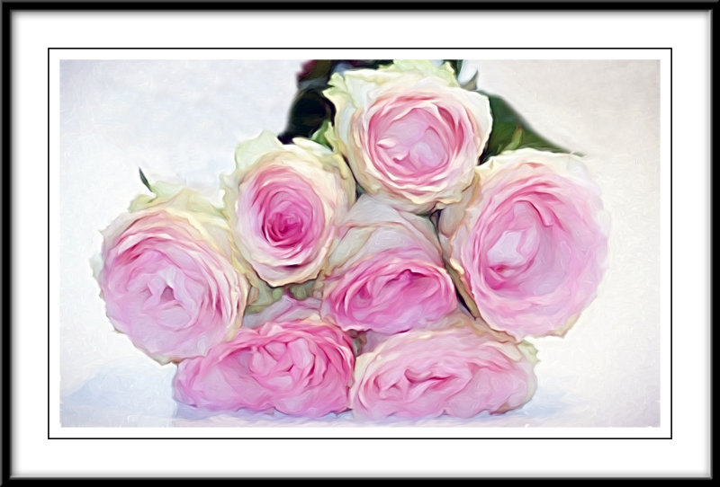 Smudged pink roses...