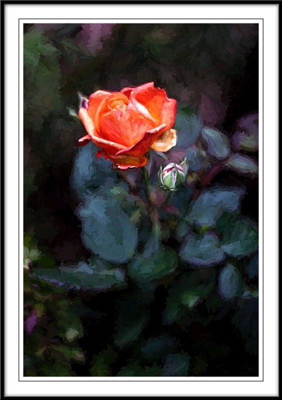 Rose oil painting...
