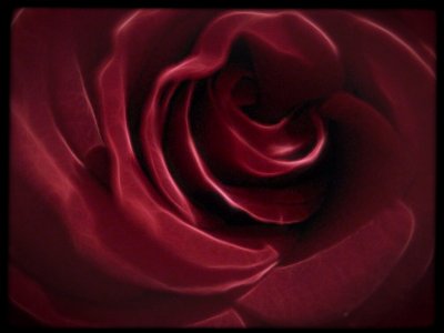 Red rose touched with fractalius...