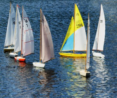  Remote control sail boat races in Back Bay Wolfeboro