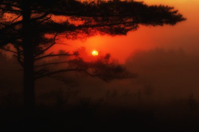 Misty sunrise Garland pond