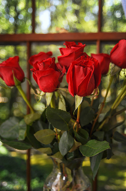 Rosier