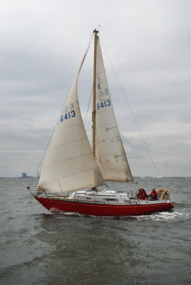 THYC Sailing
