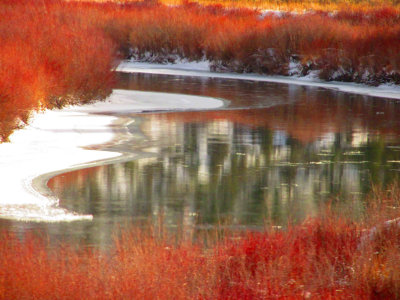 Rivire Colorado. rouge, hiver  Antonio DE MORAIS  2014.jpg