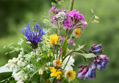 Midsommar1.jpg