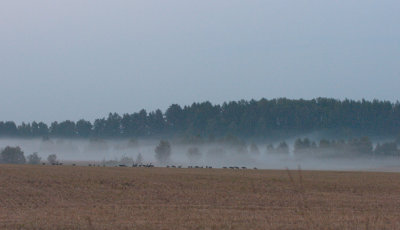 _D2H9414 as Smart Object-1.jpg