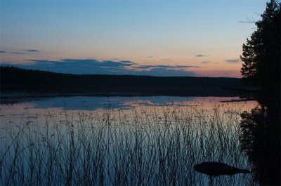 Aldersjön5.jpg