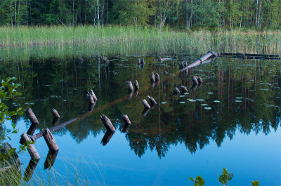 Aldersjön3.jpg