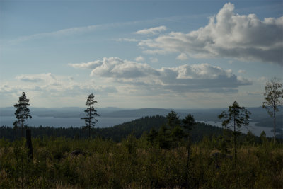 Bergviken1.jpg