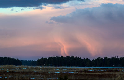 _DSC4697.jpg