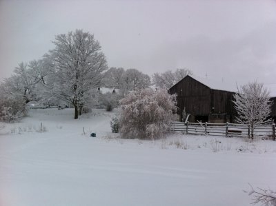 Winter walk