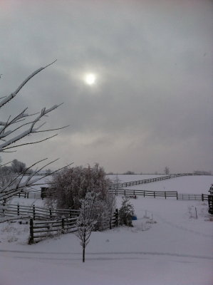 Front porch view