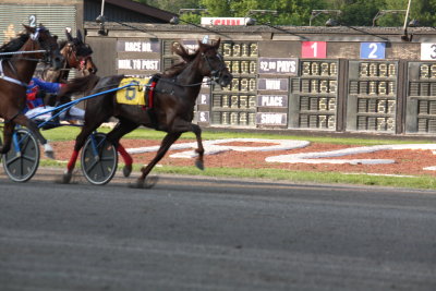 Winner - Amoureuse Hanover - 1:55.3