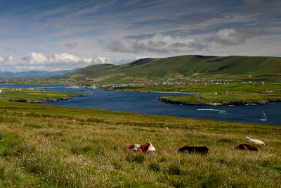 Portmagee Channel with Iveragh Peninsula Behind, Valentia Island