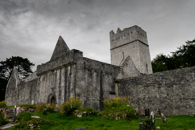 Musckross Abbey, Killarney NP