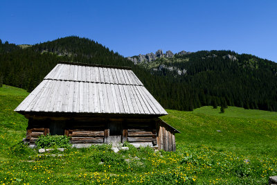 Chocholowska Valley, West Tatra