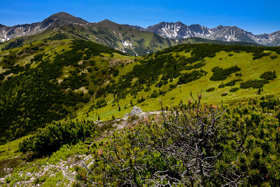 View from Grzes 1653m, from left Wolowiec 2064m, Rakon 1879m and Tri kopy 2136m behind, West Tatra
