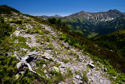 Grzes 1653m, behind Konczysty Wierch 2002m and Jarzabczy Wierch 2137m, West Tatra