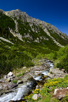 Upper Roztoka Valley with Woloszyn 2155m behind, High Tatra
