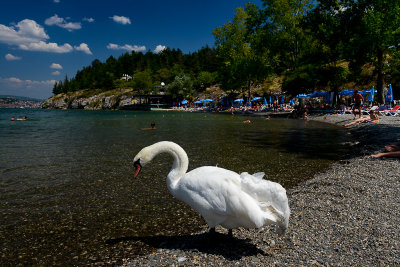 Gorica Beach, Lake Ohrid