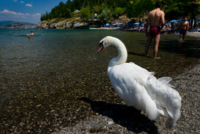 Gorica Beach, Lake Ohrid