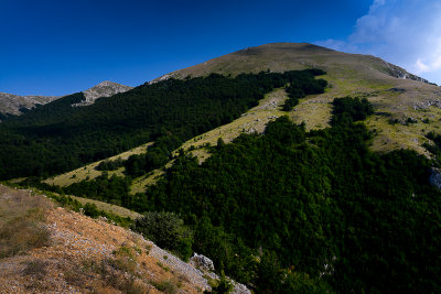Galicica National Park