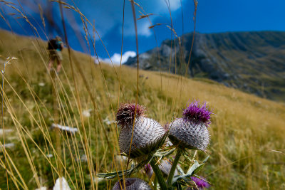 Western hiking trail to Ilin Do pass 2230m, Durmitor NP