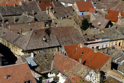 Petrovaradin rooftops from the fortress