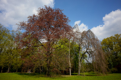Spring in Szczytnicki Park, Wroclaw