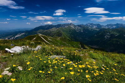 View towards High Tatra from Malolaczniak 2096m, West Tatra