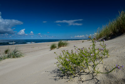 On The Beach, Curonian Spit