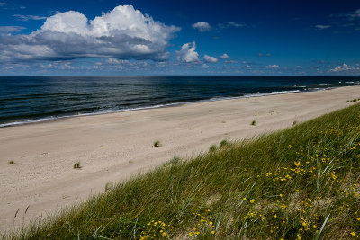 On The Dunes, Curonian Spit