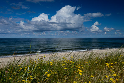 On The Dunes, Curonian Spit