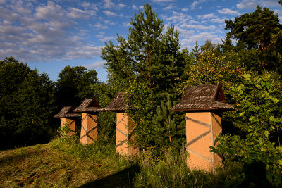 Wigry NP near Krzywe, Suwalki Lake District