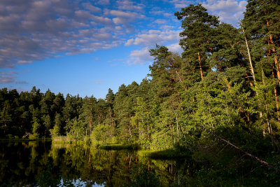 Suchar II Lake near Krzywe, Wigry NP, Suwalki Lake District