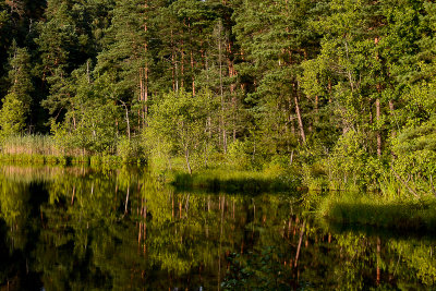 Suchar II Lake near Krzywe, Wigry NP, Suwalki Lake District