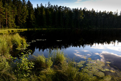 Suchar IV Lake near Krzywe, Wigry NP, Suwalki Lake District