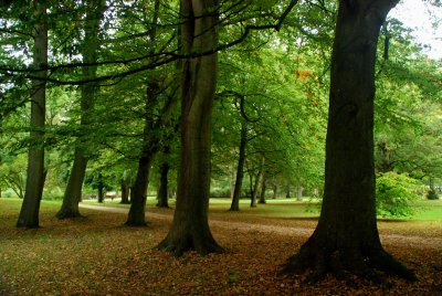 Husum, Germany