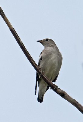 DSC_5969.jpg