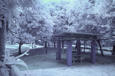 Infrared Photography