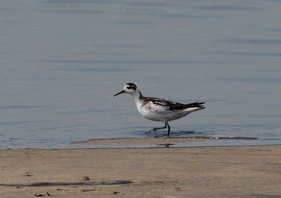 DSC_5984.jpg