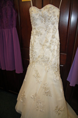 W - Dress on hanger.jpg