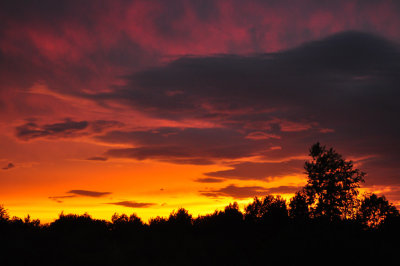 Fire In The Sky 0033.jpg