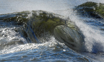 The Curl 0261.jpg
