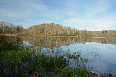 Typical North Woods Lake.jpg