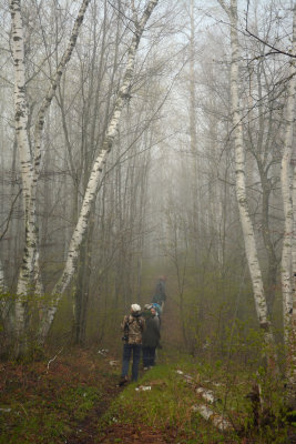 Birch Grove Birdwalk_0835.jpg