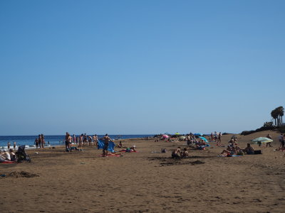 P7130055.JPG