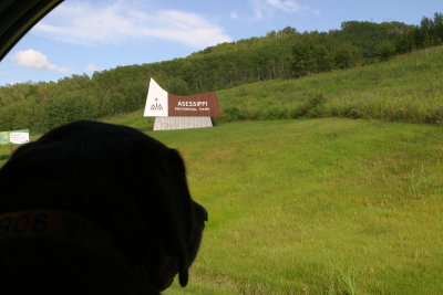 Sasha viewing the Asessippi Provincial Park sign, Manitoba, Canada (IMG_9793.JPG)