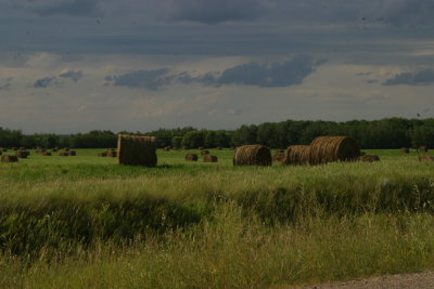 Hay Rolls in the field in Manitoba (IMG_9785.JPG)